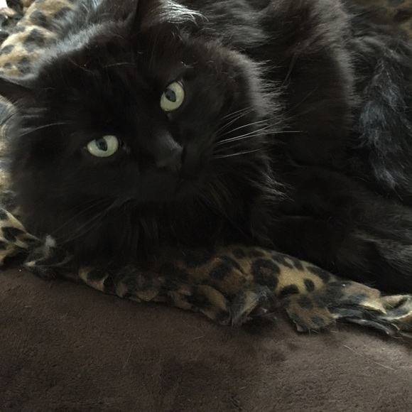 Meet your Posher, Catherine - Picture 5 of 8